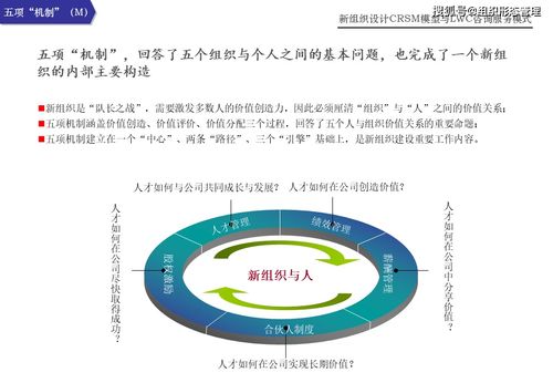 新組織設計下的CRSM模型與LWC咨詢服務模式 引領信息技術咨詢服務新范式